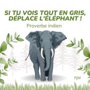 Eléphant proverbe indien